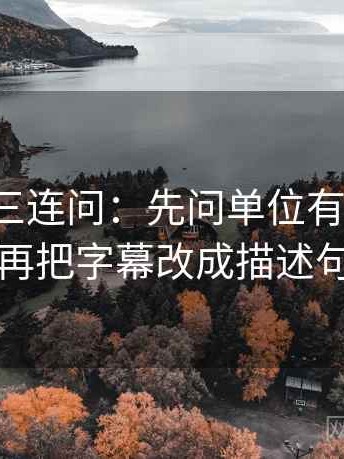 茶杯狐三连问：先问单位有没有漏，再把字幕改成描述句