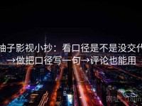 柚子影视小抄：看口径是不是没交代→做把口径写一句→评论也能用