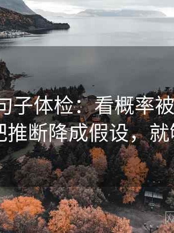 爱一番句子体检：看概率被写死吗，做把推断降成假设，就够了