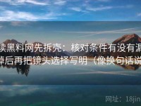 读黑料网先拆壳：核对条件有没有漏掉后再把镜头选择写明（像换句话说）