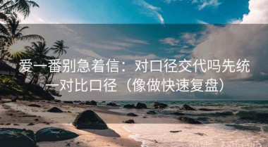 爱一番别急着信：对口径交代吗先统一对比口径（像做快速复盘）