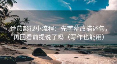番茄影视小流程：先字幕改描述句，再回看前提说了吗（写作也能用）